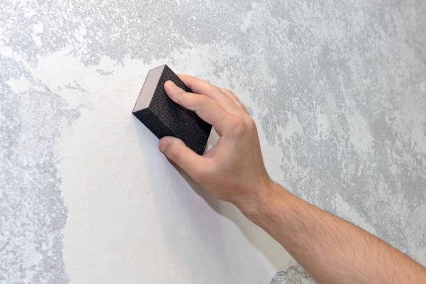 Best Crawl Space Mold Remediation  in North Bellport, NY