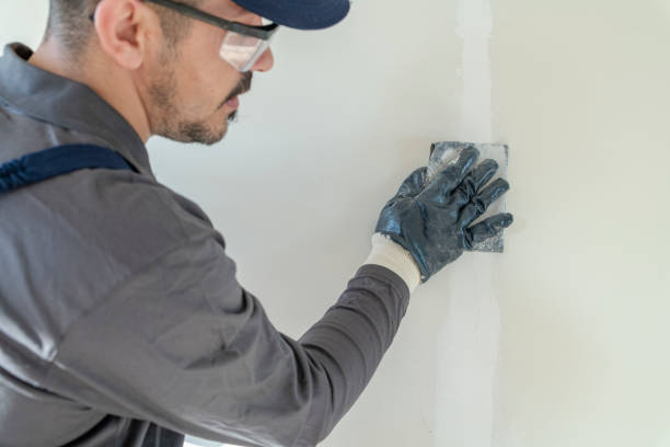 Best Mold Remediation for Healthcare Facilities  in North Bellport, NY