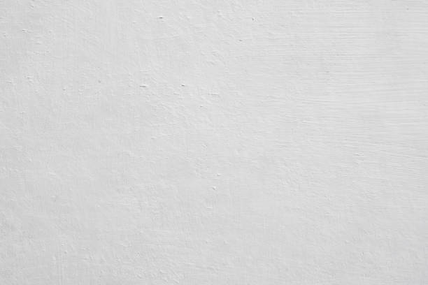 Professional Mold Removal in North Bellport, NY