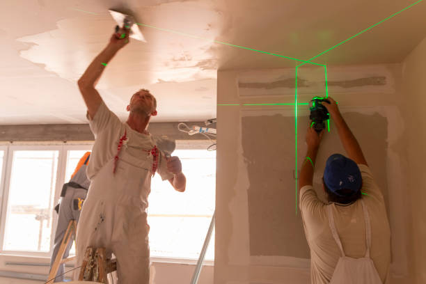Best Emergency Mold Remediation  in North Bellport, NY
