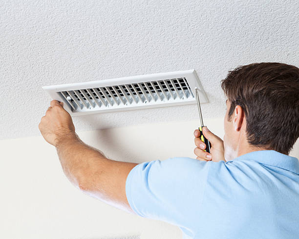 Best Mold Prevention Services  in North Bellport, NY