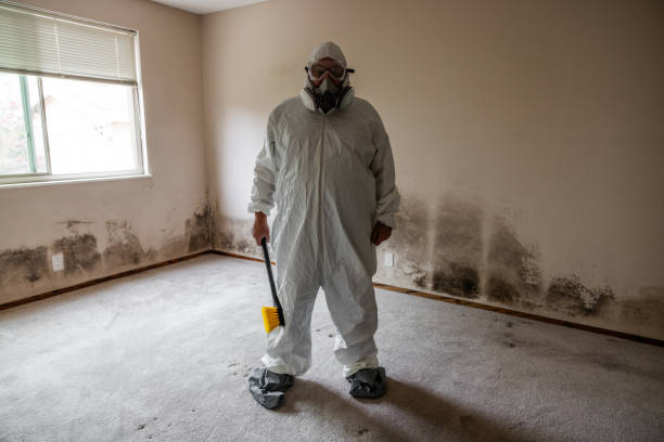 Best HVAC Mold Inspection and Cleaning  in North Bellport, NY
