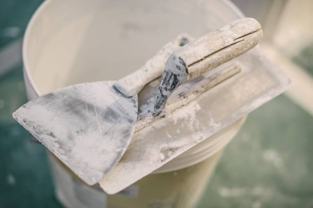 Best Biohazard Mold Removal  in North Bellport, NY