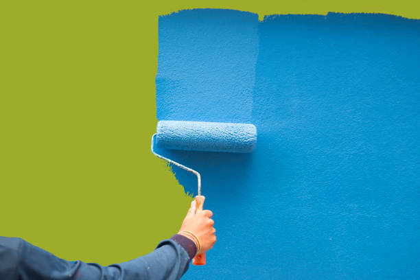 Best Basement Mold Removal  in North Bellport, NY