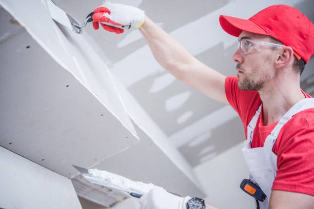 Best Mold Documentation for Insurance Claims  in North Bellport, NY