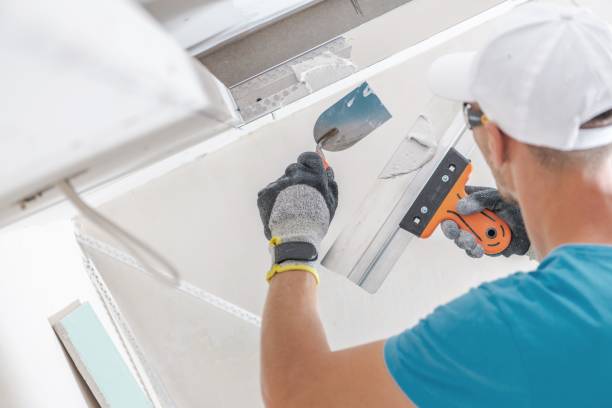 Best Forensic Mold Investigation  in North Bellport, NY
